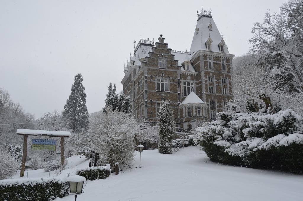 ホテルChateau Bleu Trooz エクステリア 写真